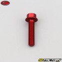 6x25 mm screw hex head Evotech base red (per unit)