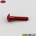 6x30 mm vite testa arrotondata Evotech rosso (unità)