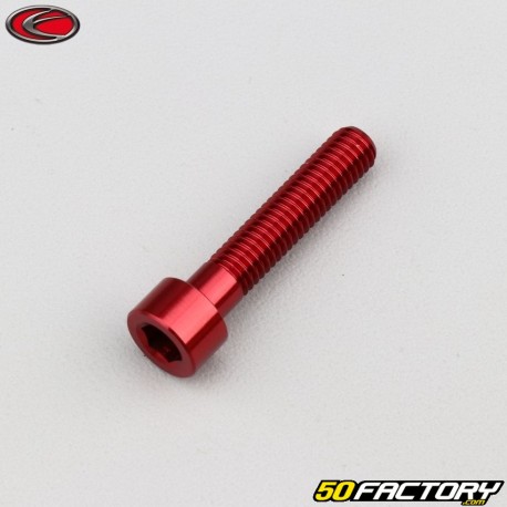 Tornillo cabeza BTR Evotech rojo de 6x30 mm (por unidad)