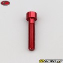 6x30 mm testa della vite BTR Evotech rosso (per unità)