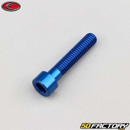 6x30 mm vite blu testa Evotech BTR (per unità)