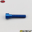 Tornillo de 6x30 mm cabeza azul Evotech BTR (por unidad)