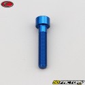 6x30 mm screw blue Evotech BTR head (per unit)