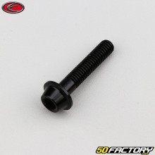 Parafuso 6x30 mm cabeça BTR abaulada base Evotech preto (por unidade)