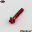 Tornillo de 6x30 mm cabeza hexagonal base Evotech rojo (por unidad)