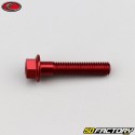 6x30 mm vite testa esagonale Evotech base rossa (per unità)