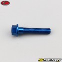 Tornillo cabeza hexagonal azul de 6x30 mm base Evotech (por unidad)