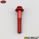 6x35 mm vite BTR testa bombata Evotech base rossa (per unità)