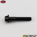 6x35 mm screw BTR domed head black Evotech base (per unit)