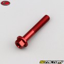 6x35 mm Schraube Sechskantkopf Evotech Basis rot (pro Einheit)