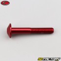 6x40 mm screw rounded head Evotech red (unit)