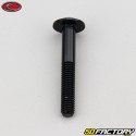 Tornillo de 6x40 mm Evotech cabeza redondeada BTR negro (simple)