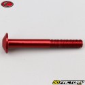 6x50 mm screw rounded head Evotech red (unit)