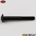 6x50 mm screw BTR domed head Evotech black (single)