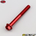 6x50 mm vite testa esagonale Evotech base rossa (per unità)