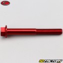 6x50 mm screw hex head Evotech base red (per unit)