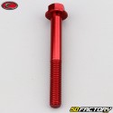 6x50 mm screw hex head Evotech base red (per unit)