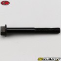 6x50 mm screw hex head Evotech base black (per unit)