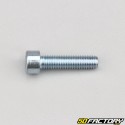 Screw 6x25 mm BTR head (200 pieces)