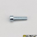 Tornillo 5x20 mm cabeza BTR (200 piezas)