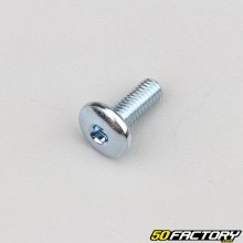 6x16 mm screw large head BTR domed (per unit)