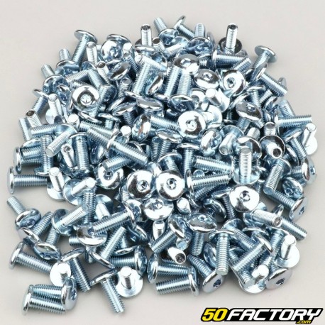 6x16 mm screw wide head BTR domed (200 pieces)