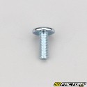 6x16 mm screw wide head BTR domed (200 pieces)