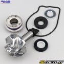 Honda SH water pump, Forza NSS 300 RMS (repair kit)