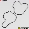 Selos do motor Yamaha  YZF XNUMX (XNUMX - XNUMX), WR-F (XNUMX - XNUMX)... Athena