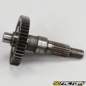 Rear wheel axle Peugeot TKR, Vivacity, Speedfight ...