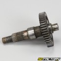 Rear wheel axle Peugeot Zenith,  TKR,  Vivacity,  Speedfight...