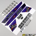 Kit decorativo Peugeot  XNUMX MVL  violeta