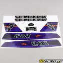 Kit decorativo Peugeot  XNUMX MVL  violeta