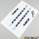 Kit decorativo Peugeot  XNUMXK gris