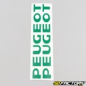 Engine cover decals Peugeot 103 green