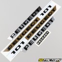 Decoration  kit Peugeot 101 MT