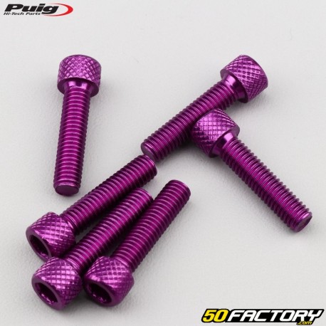 Parafusos XNUMXxXNUMX mm cabeça BTR Puig roxo (conjunto de XNUMX)