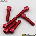 Vis 6x25 mm tête BTR Puig rouges (lot de 6)