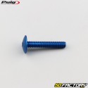 6x35 mm blue Puig domed BTR screws (set of 6)