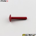 6x35 mm screws domed head BTR Puig red (set of 6)