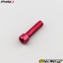 Tornillos cabeza de XNUMXxXNUMX mm BTR Puig rojo (juego de XNUMX)