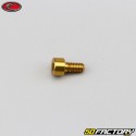 4x8 mm vite BTR testa Evotech oro (singola)