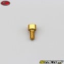 4x8 mm vite BTR testa Evotech oro (singola)