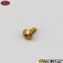 4x10 mm screw Evotech domed head BTR gold (single)