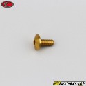 4x10 mm Schraube Evotech Linsenkopf BTR gold (einzeln)