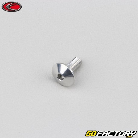 4x10 mm vite testa arrotondata BTR Evotech grigio (per unità)