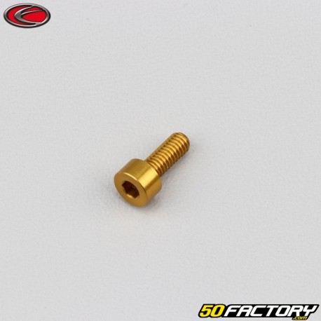 4x10 mm screw BTR head Evotech gold (single)