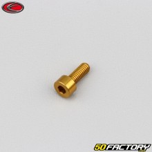 Vite 4x10 mm testa BTR Evotech dorato (per unità)