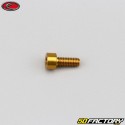 4x10 mm parafuso cabeça BTR Evotech gold (simples)