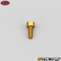 4x10 mm screw BTR head Evotech gold (single)